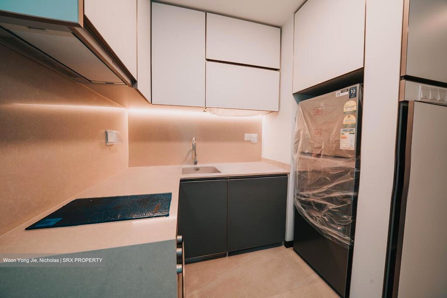 Normanton Park (D5), Apartment #507970621